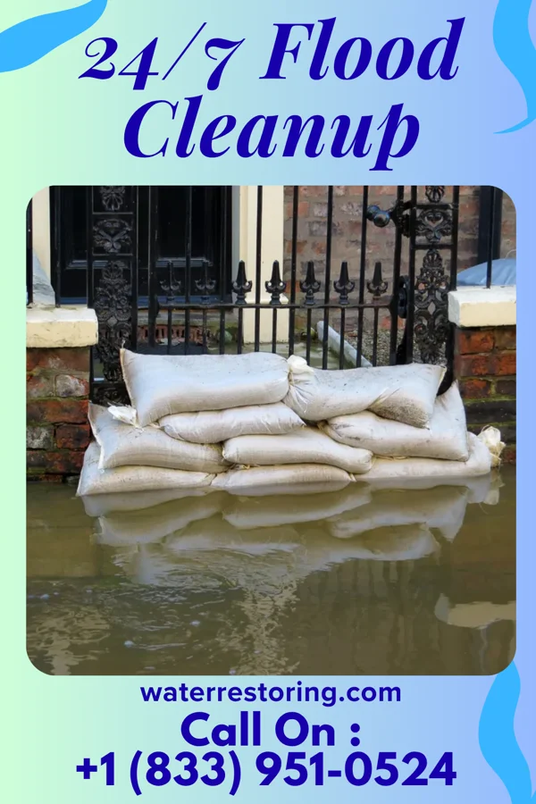 24/7 Flood Cleanup in Promised Land, SC
