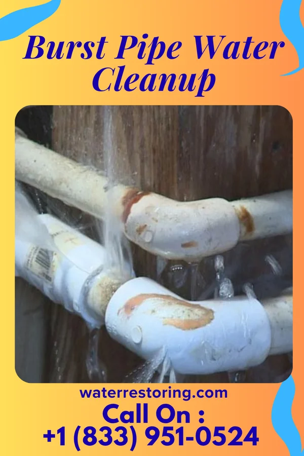 Burst Pipe Water Cleanup in Promised Land, SC
