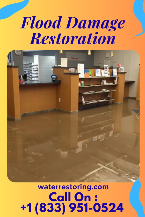 Flood Damage Restoration in Promised Land, SC