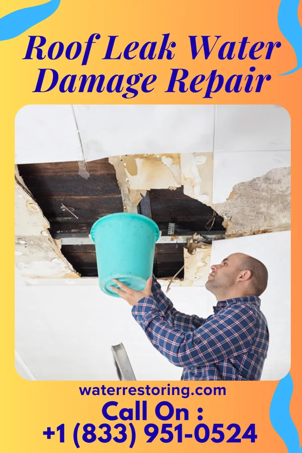 Roof Leak Water Damage Repair in Promised Land, SC