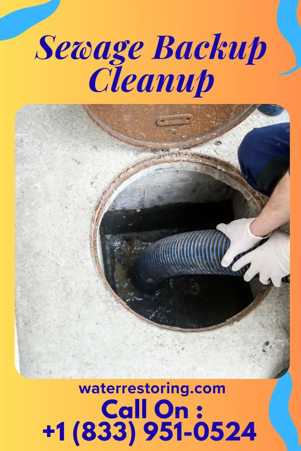 Sewage Backup Cleanup in Promised Land, SC