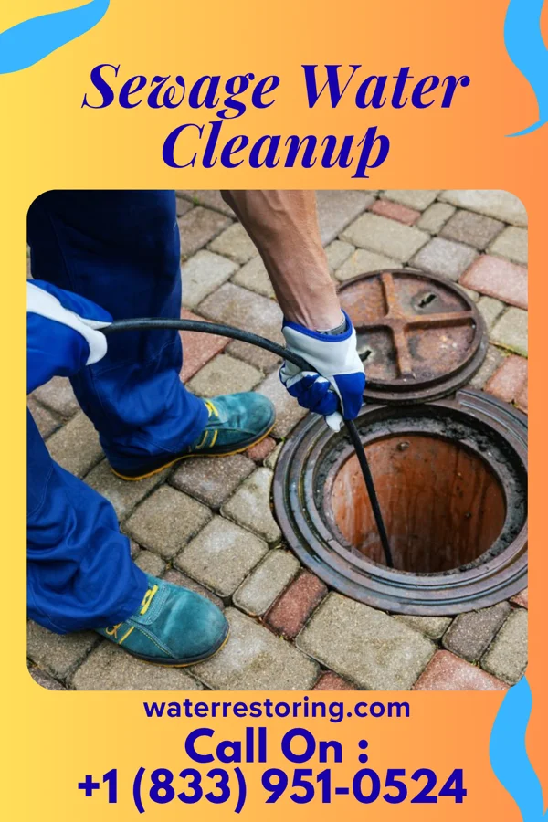 Sewage Water Cleanup in Promised Land, SC