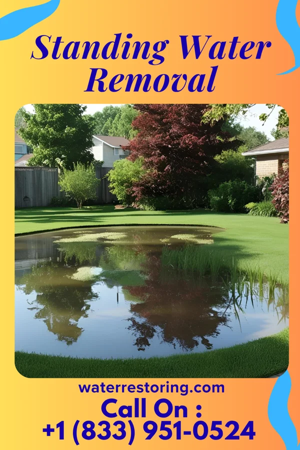 Standing Water Removal in Promised Land, SC